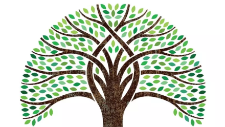 tree with green leaves